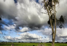 雷霆晋级西部决赛，顺利击败爵士
