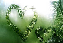 战胜对手掌握先机决战时刻触手可及